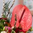 For Her Handtied Pride Cut Flower BouquetAlternative Image2